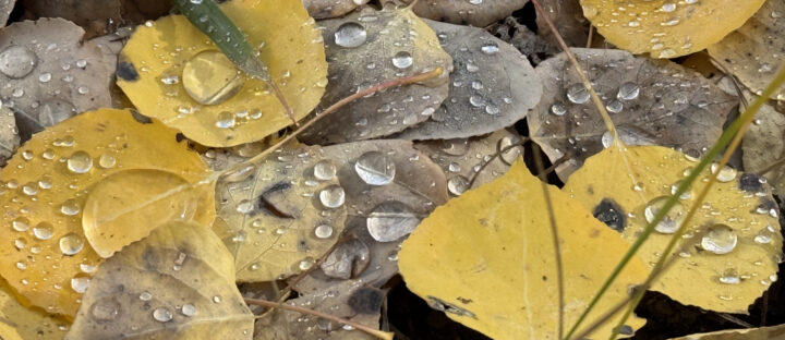 2025 Wilderness Challenge